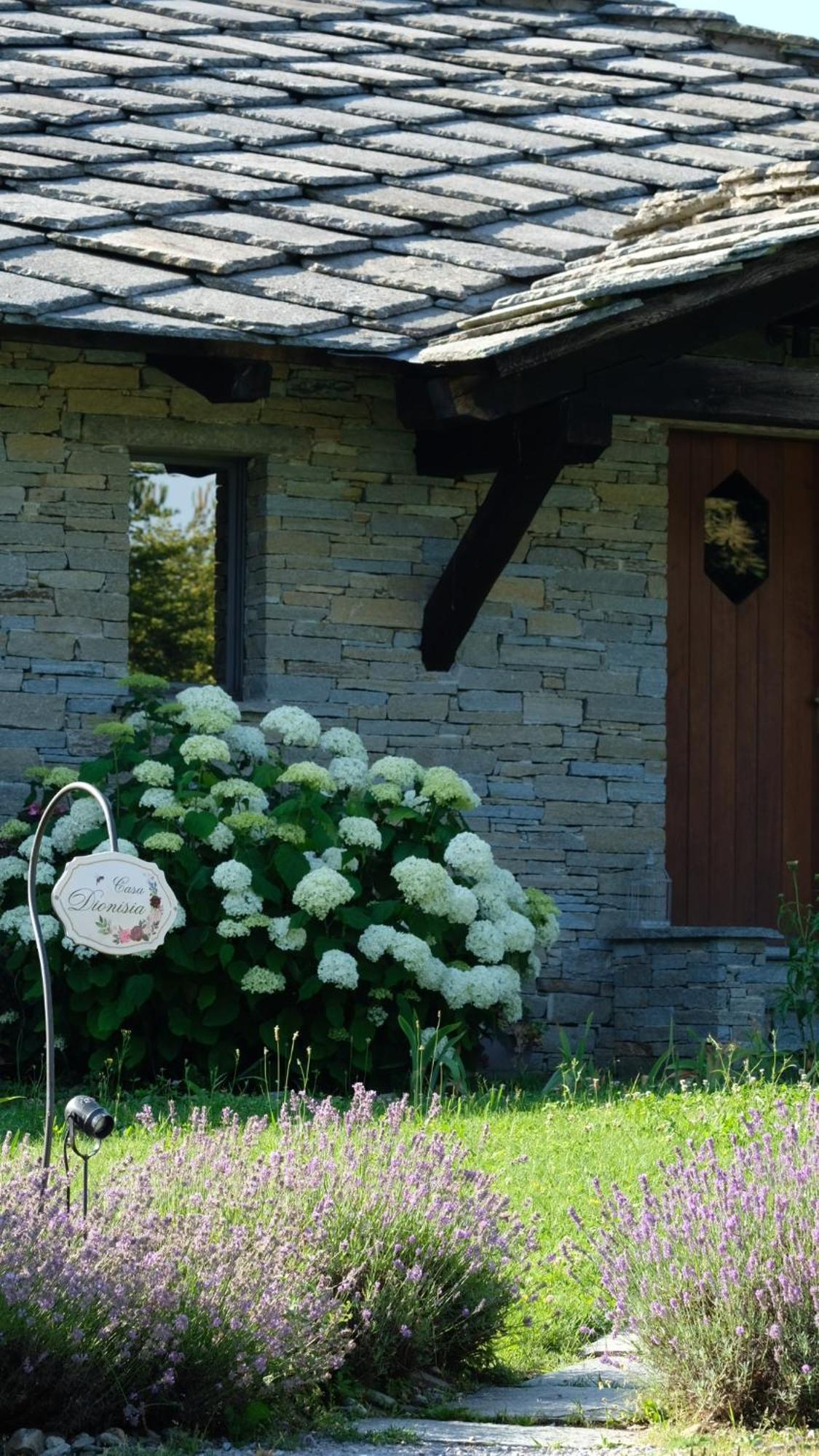Dionisia'S Home, Pool, Spa On Monviso Unesco Alps Verzuolo Exterior photo